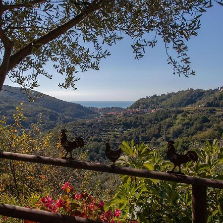 Pietrantica - Affittacamere Con Giardino Nuova Apertura A Trebiano -Citr Eksteriør bilde
