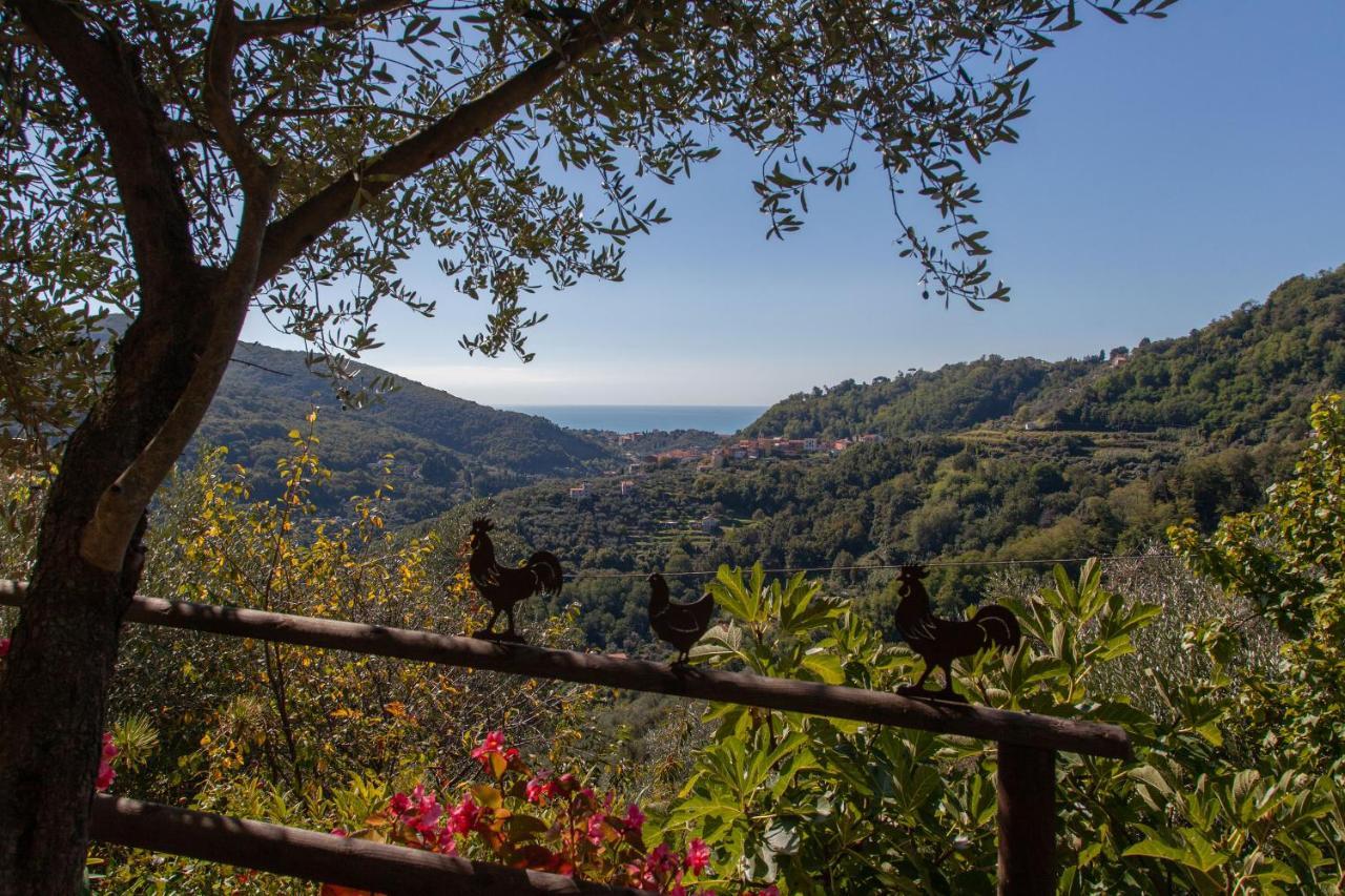 Pietrantica - Affittacamere Con Giardino Nuova Apertura A Trebiano -Citr Eksteriør bilde