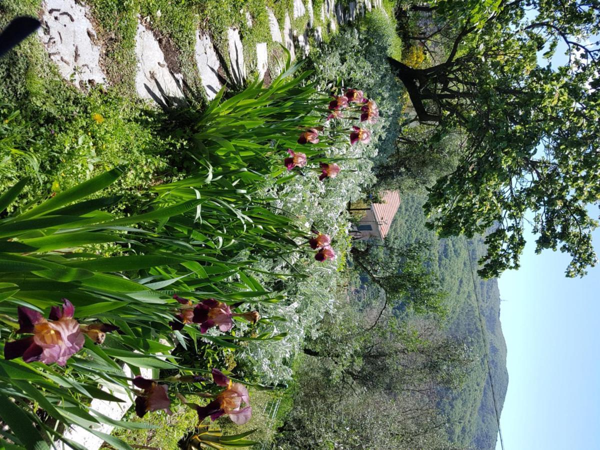 Pietrantica - Affittacamere Con Giardino Nuova Apertura A Trebiano -Citr Eksteriør bilde