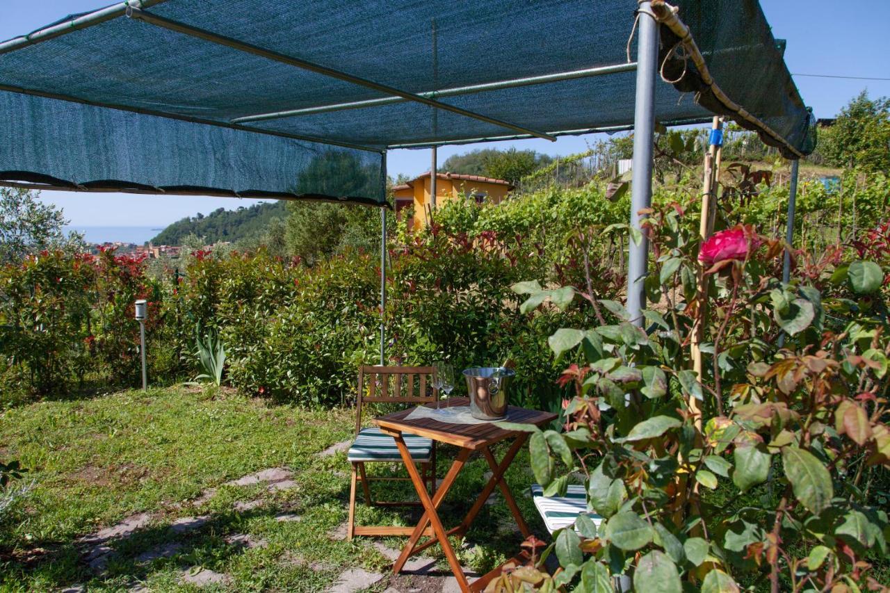 Pietrantica - Affittacamere Con Giardino Nuova Apertura A Trebiano -Citr Eksteriør bilde