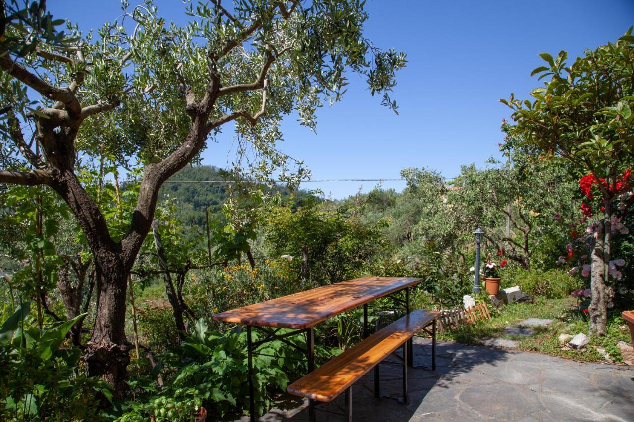 Pietrantica - Affittacamere Con Giardino Nuova Apertura A Trebiano -Citr Eksteriør bilde